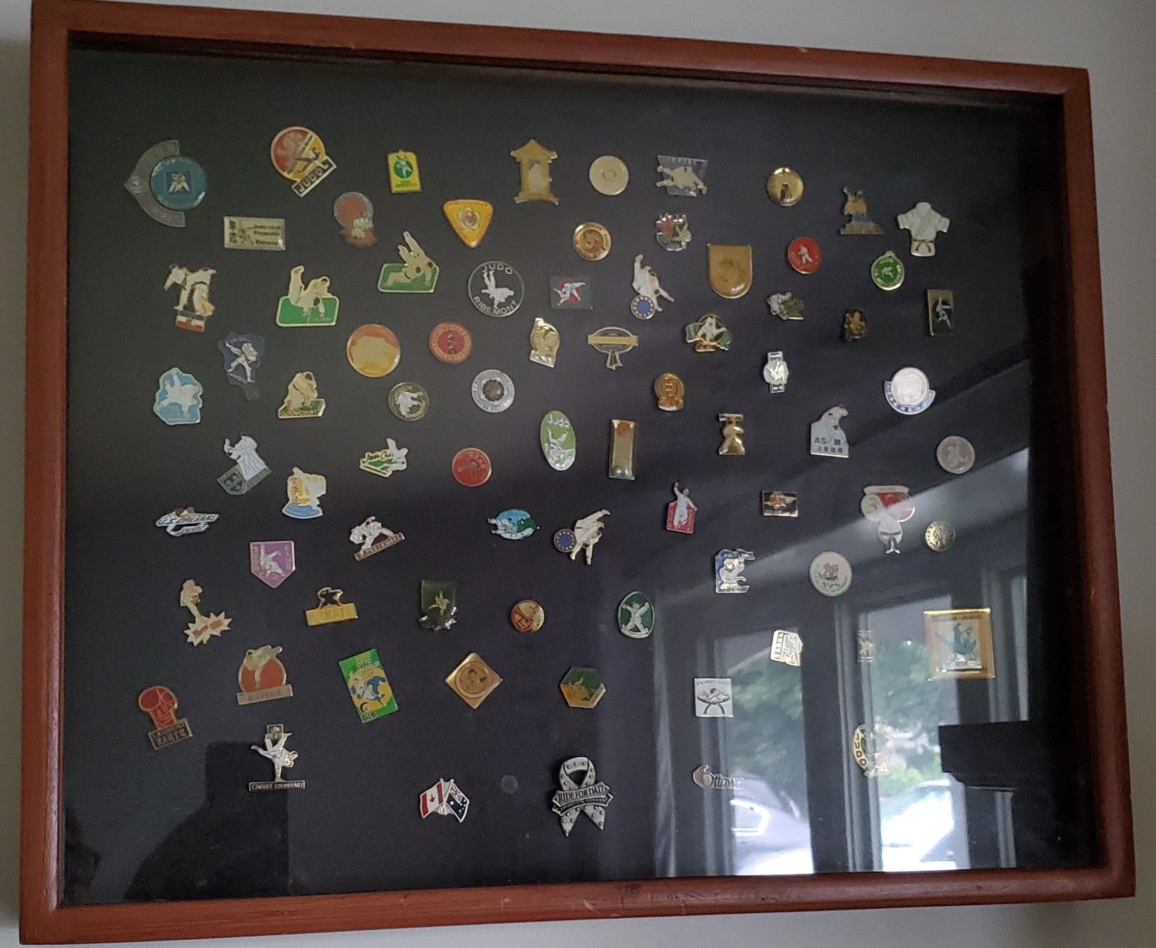 Pins With Display